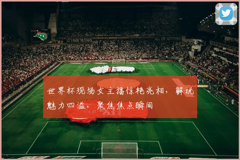 世界杯现场女主播惊艳亮相，解说魅力四溢，聚焦焦点瞬间