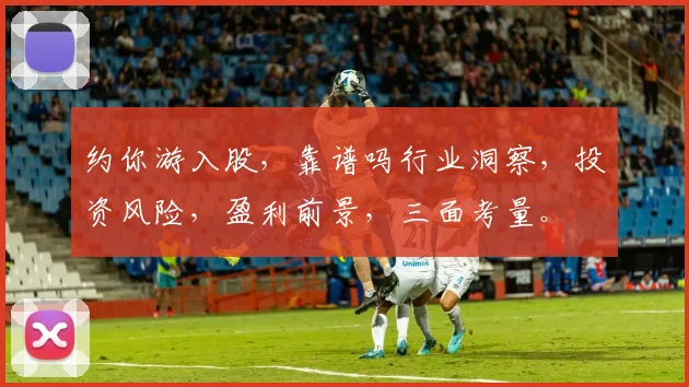 约你游入股，靠谱吗行业洞察，投资风险，盈利前景，三面考量。
