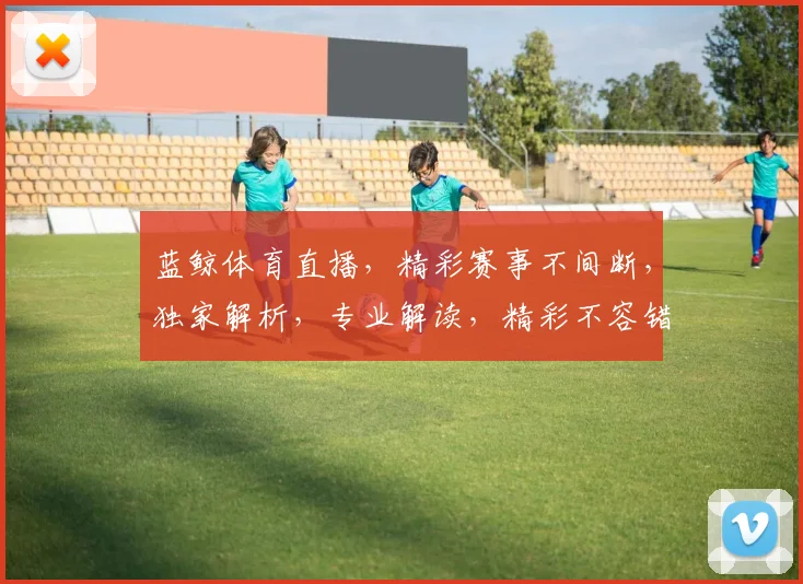 蓝鲸体育直播，精彩赛事不间断，独家解析，专业解读，精彩不容错过，锁定蓝鲸，共享激情