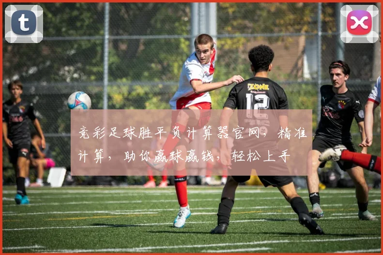 竞彩足球胜平负计算器官网，精准计算，助你赢球赢钱，轻松上手