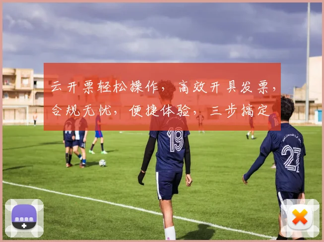 云开票轻松操作，高效开具发票，合规无忧，便捷体验，三步搞定